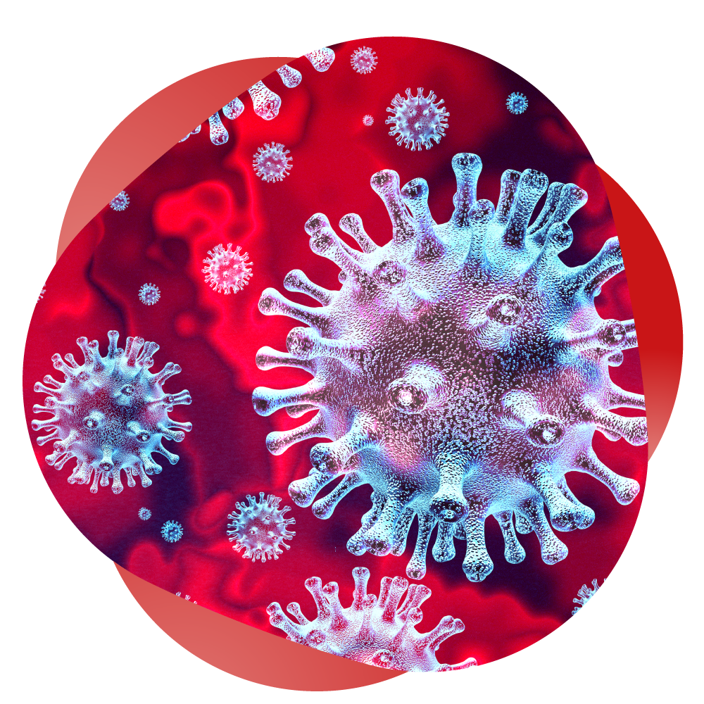 corona-virus corona-virus